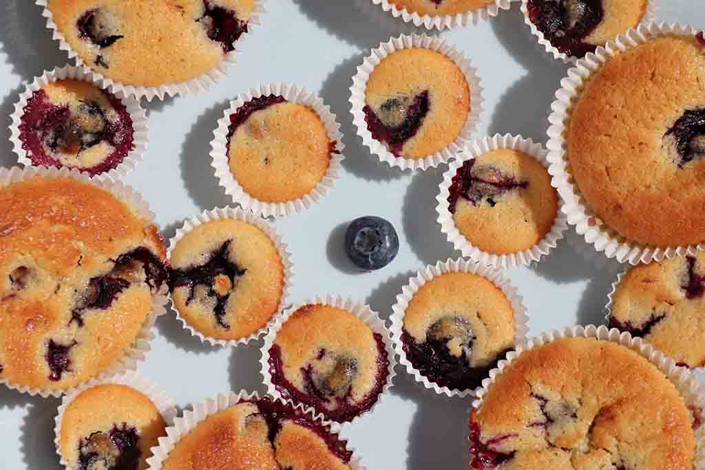 Blueberry muffins