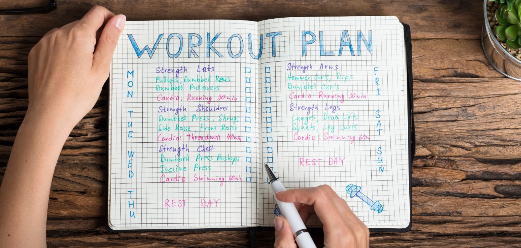 weight loss workout plan for beginners at the gym